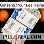 Ginseng For Kidney kamagra1
